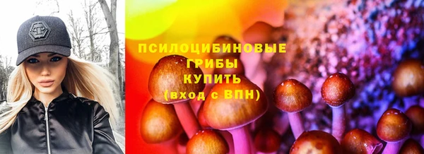 бошки Абаза